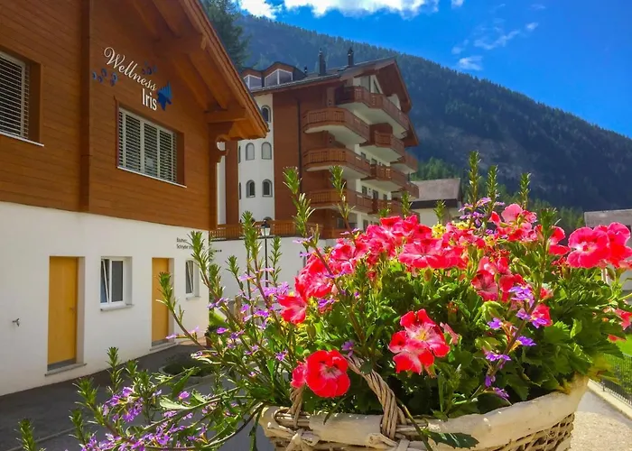 Appartamento A31 By Interhome *